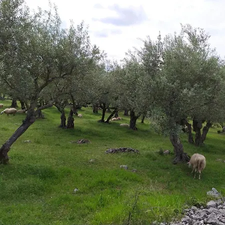 Hotel Prima Insula Glamping à Brusici Extérieur photo